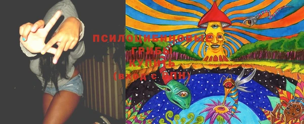 прущая мука Вязьма
