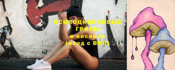 прущая мука Вязьма