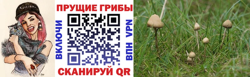 Купить закладки  Покачи  Галлюциногенные грибы ЛСД 